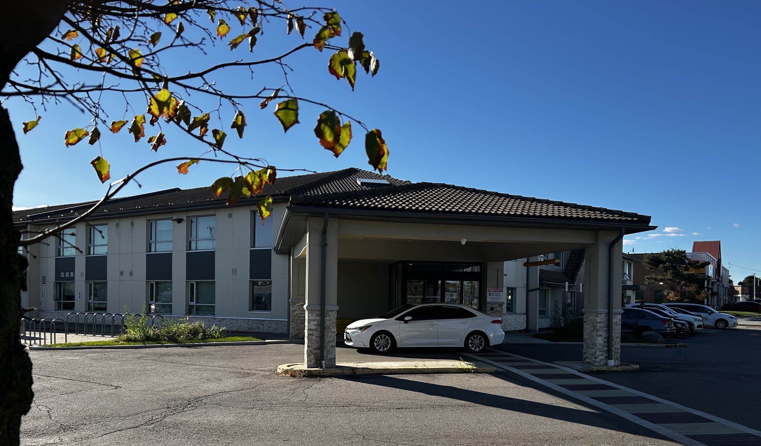 Birch Place — hero image